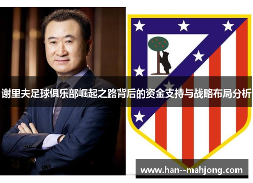 谢里夫足球俱乐部崛起之路背后的资金支持与战略布局分析 谢里夫足球俱乐部崛起之路背后的资金支持与战略布局分析